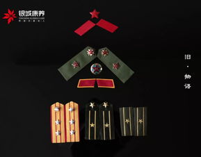 中国人民解放军军衔制度 中国人民解放军军衔制度图
