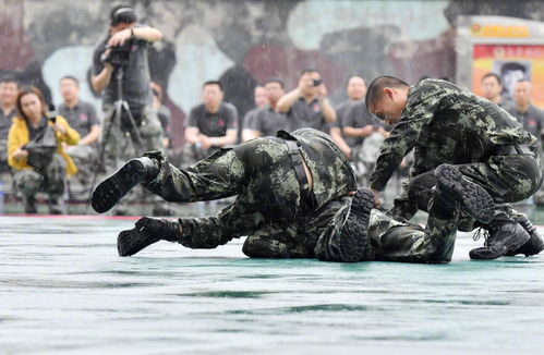 武警特战和武警的区别 武警和特战武警有什么区别