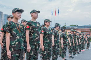 军事铁血网 铁血军事网站