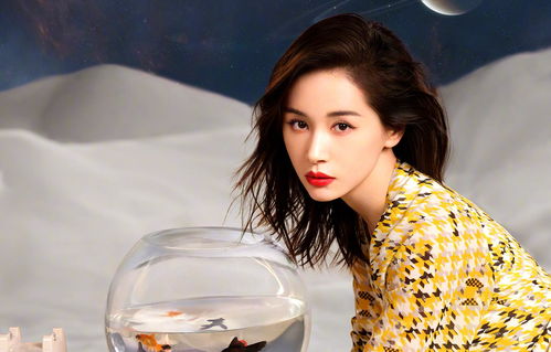 刘丰源王子文分手声明 王子文刘丰源个人资料简介