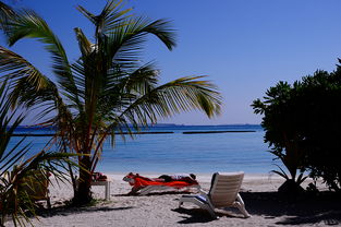 一次难忘的服务体验马尔代夫 马尔代夫攻略旅游