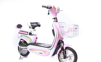 关于中国最好的二轮电动车的信息