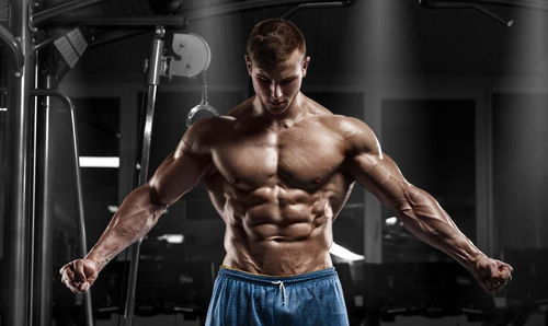 腹肌健身视频 (健身腹部肌肉锻炼视频)