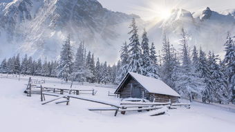 腊月景色描写 (描写腊月的美文)