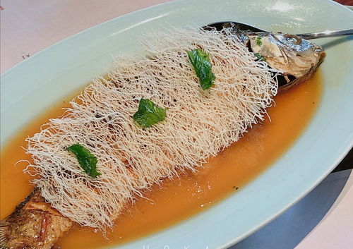 河南美食最多的城市 (河南美食城市排名前十)