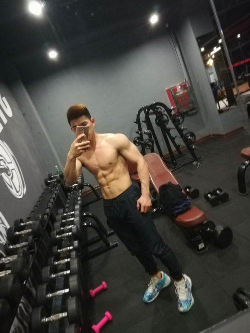 哪些明星真的健身 (明星们都健身吗)