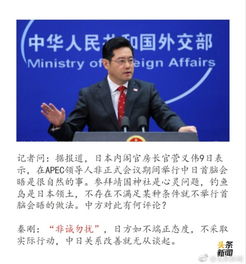 2020年外交金句 (2020年外交部金句)