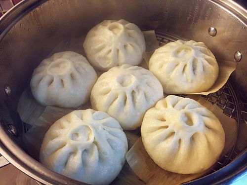 包子的制作 (包子的制作流程及注意事项)