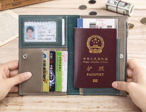 一日游必带的物品清单 (一日游必带的物品清单大全)