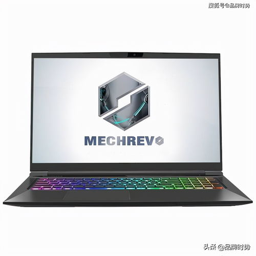 电脑牌子排名前十名 (电脑品牌前十大排名)