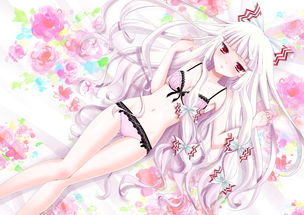 比基尼写真哔哩哔哩 (比基尼写真哔哩哔哩网站)