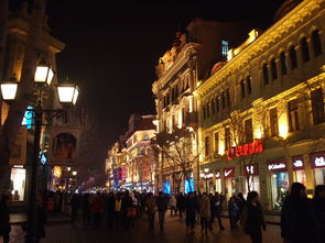 哈尔滨冬季旅游攻略必玩的景点 (哈尔滨冬天的景点)