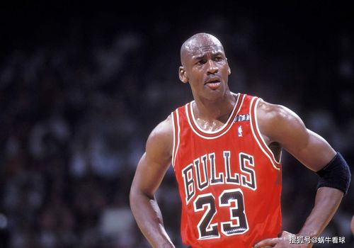 詹姆斯的鸟很大 (詹姆斯有鸟权吗)