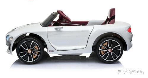 电动汽车排名前十名车 (电动汽车排名前十名车标)