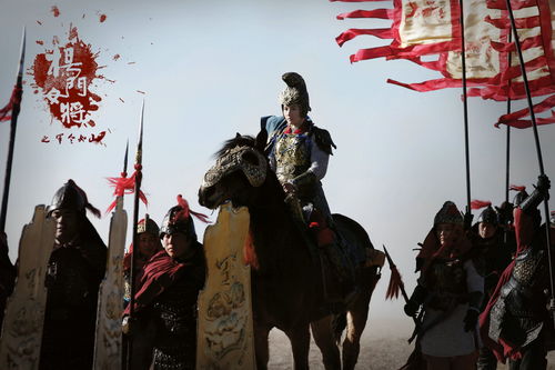 杨家将杨门女将 (杨门女将)