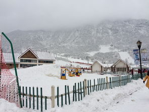 冬季适合去的旅游景点 (冬天好玩的旅游景点)