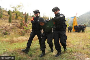 训练和演练的区别 (演练和培训有什么不同)