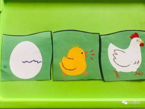 班级的发泄玩具 (发泄的小玩具)