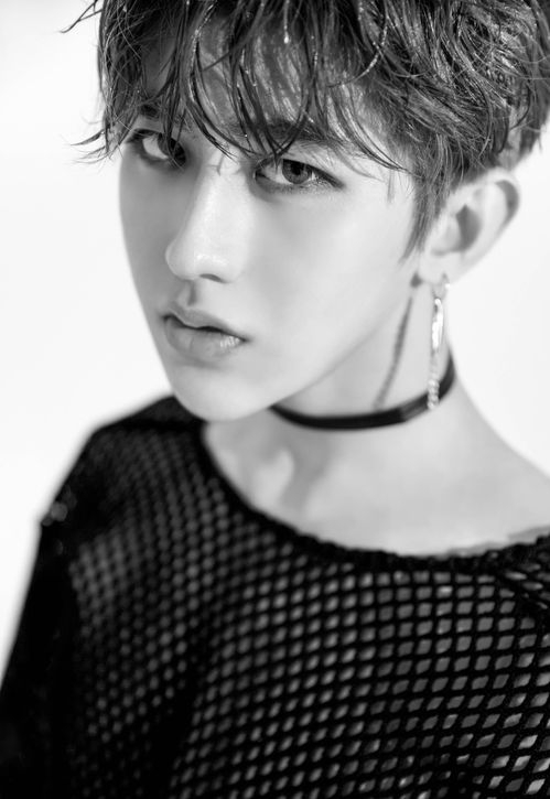 当明星痛苦吗 (当明星好难)