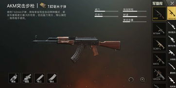 枪械大全app (枪械大全游戏)