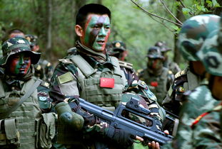 沙漠之狐行动 (沙漠之狐行动图片)