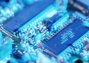 日本做芯片的公司 (日本做芯片的公司)