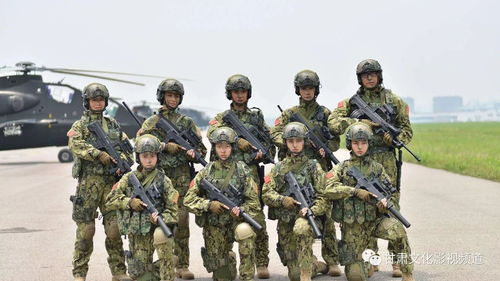 特种部队代号大全 (特种部队代号大全中文)