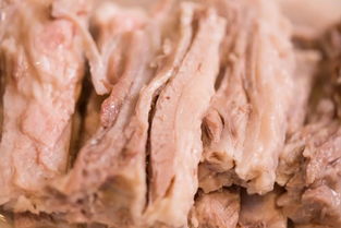 宁夏和甘肃的羊肉哪个好 (宁夏的羊肉好吗)