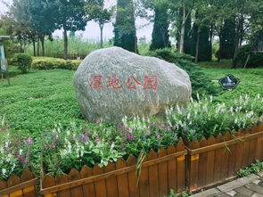 离我最近的公园 (离我最近公园在哪里?)