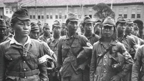 打仗了躲山里安全吗 (打仗为什么在山上打)