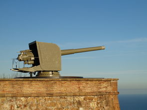 非战争军事行动装备的保障有哪些 (非战争军事行动运输保障)