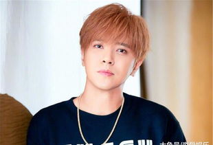 罗志祥 (罗志祥个人简介)