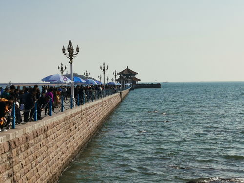 青岛12月份旅游合适吗 (青岛旅游12月去合适吗)