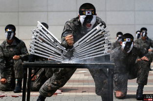 特种兵反恐模拟器 (特种兵反恐游戏)