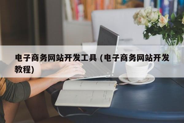 电子商务网站开发工具 (电子商务网站开发教程)