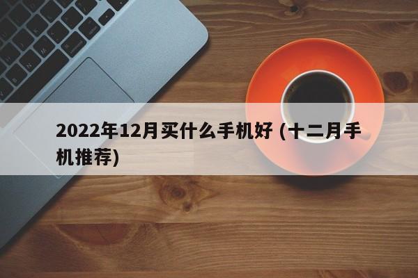 2022年12月买什么手机好 (十二月手机推荐)