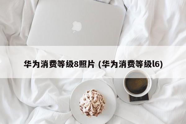 华为消费等级8照片 (华为消费等级l6)