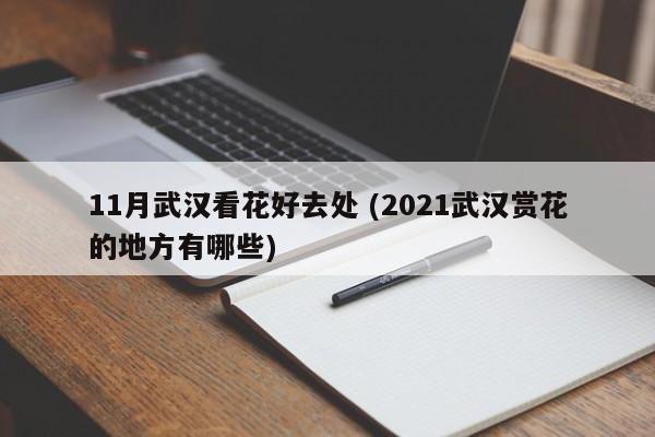 11月武汉看花好去处 (2021武汉赏花的地方有哪些)