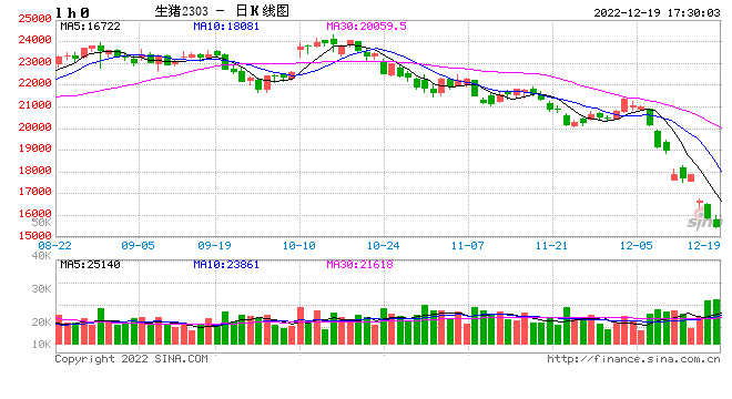 国泰君安期货:现货加速下跌,生猪近月合约再度跌停