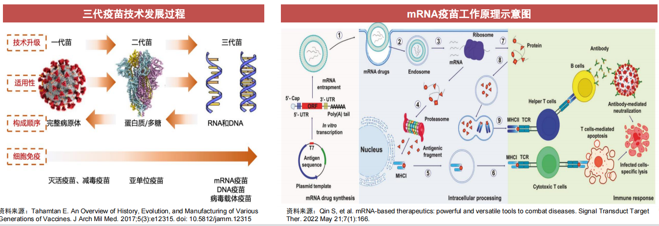 新冠变异株mRNA疫苗捷报频传!产业链受益上市公司梳理