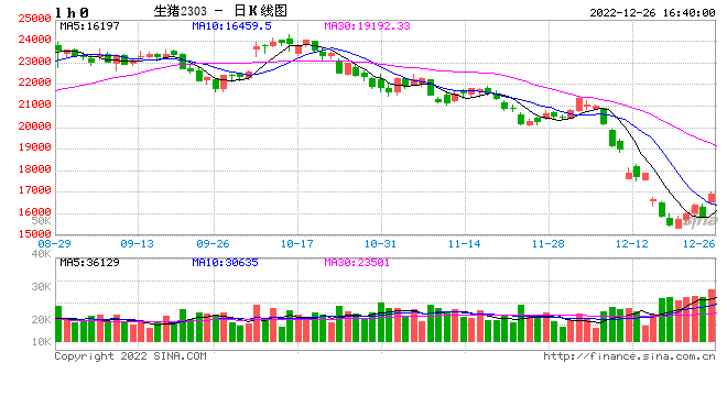 广发期货异动点评:供应压力缓和,需求回暖,生猪“春天”到了?