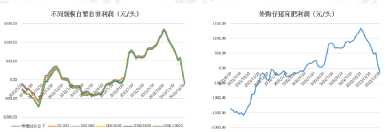 广发期货异动点评:供应压力缓和,需求回暖,生猪“春天”到了?