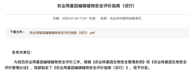基因编辑育种产业化何时迎拐点?朱健康院士:政策护航,铺好正道