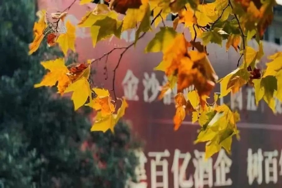 华润斥巨资并购金沙之后,张道红的位置还稳吗?