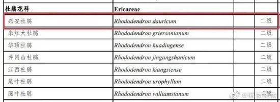 春节临近，不要买它！有毒，还违法
