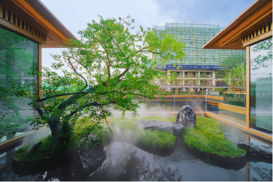 心安处安家,我在华侨城找到了答案