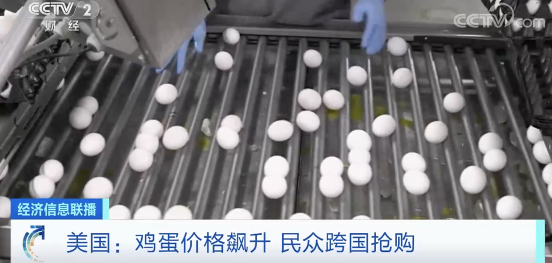 1枚鸡蛋近5元?!美国鸡蛋价格飙升!民众跨国抢购...