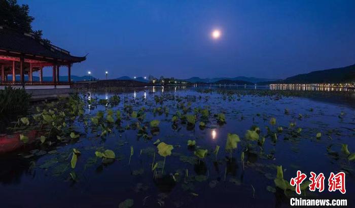 浙江文旅观察:民宿的“好日子”来了吗?