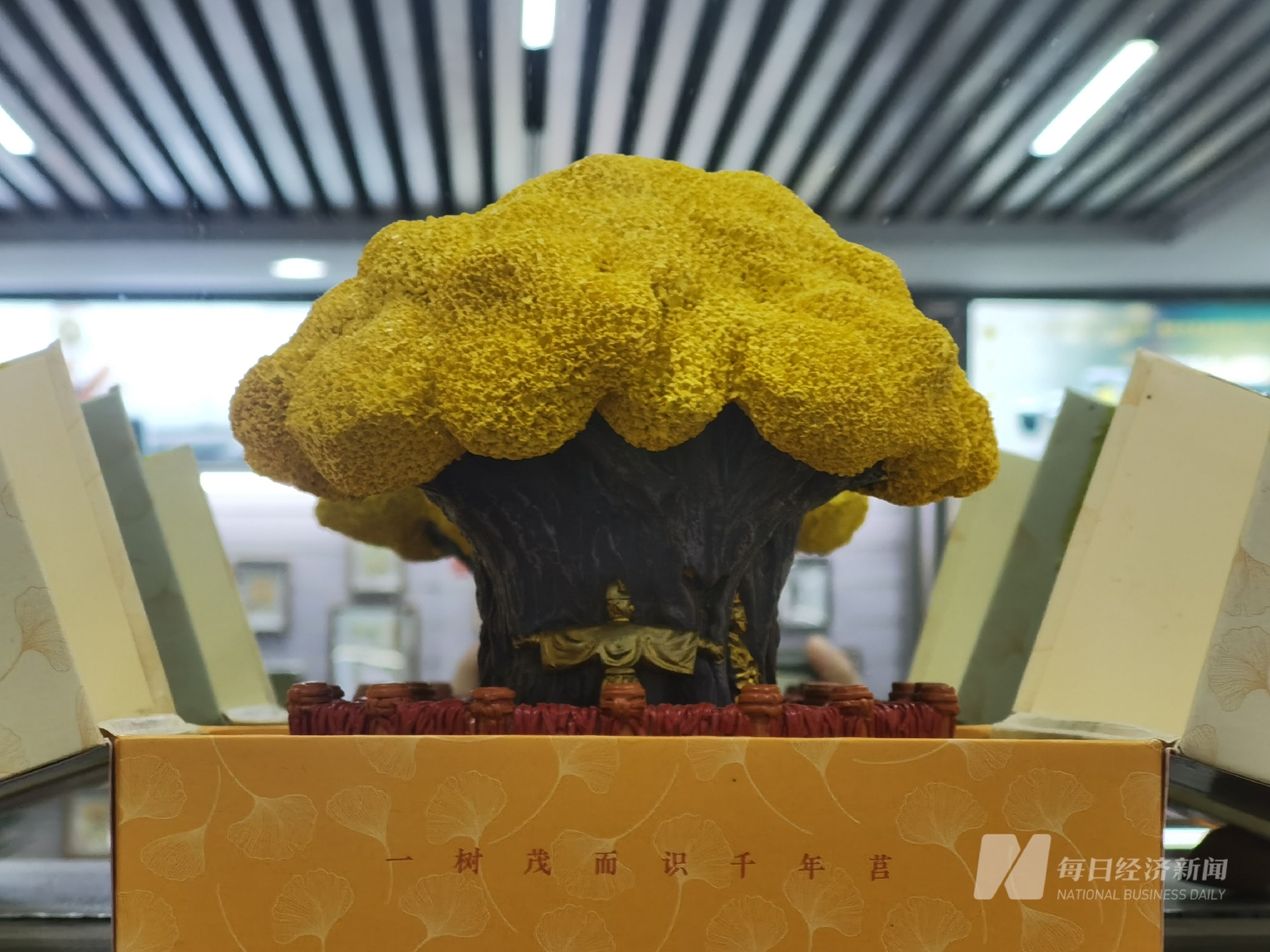 古城文创工作者:全年无休,今年终于盼来了归乡人