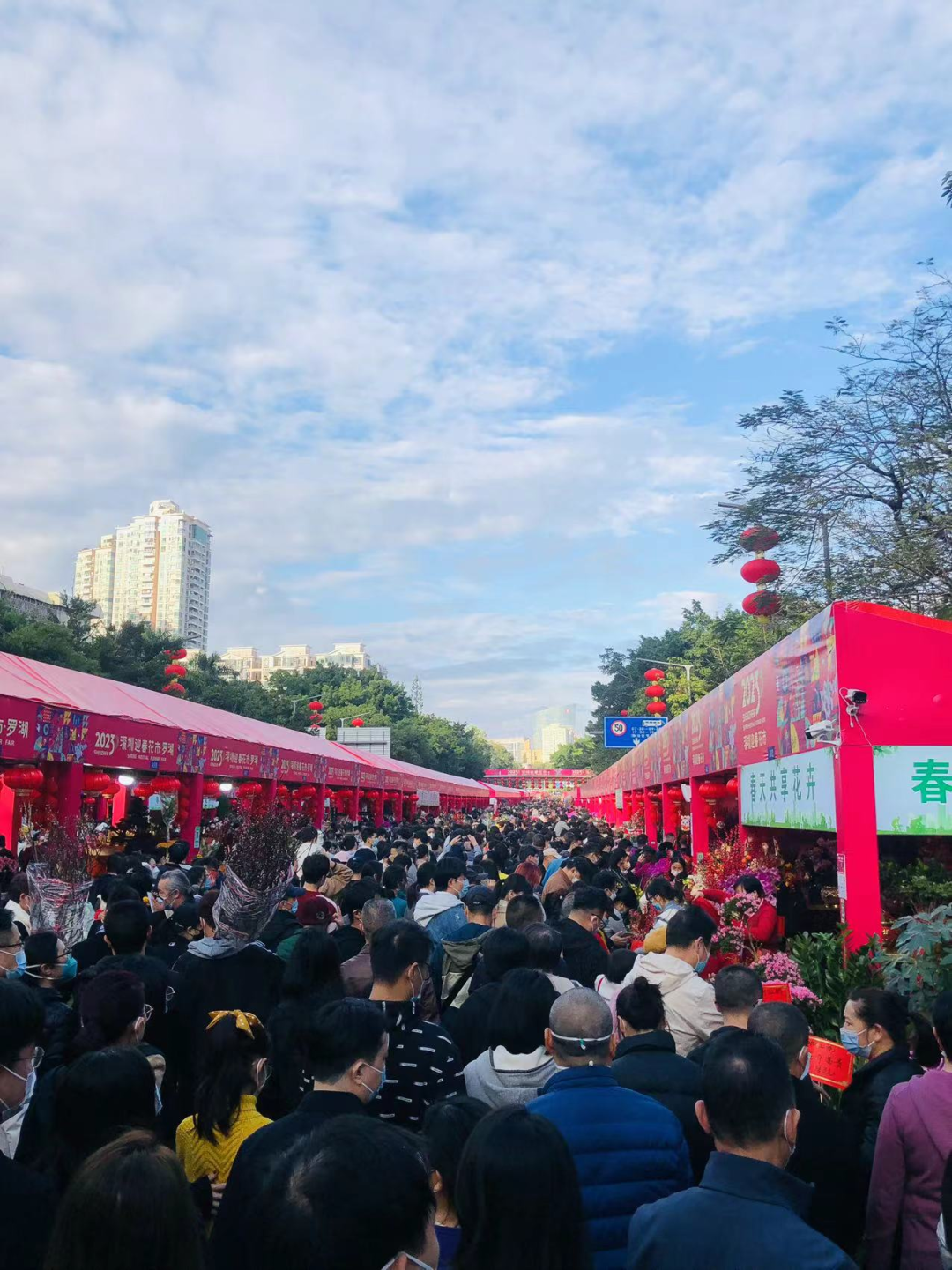 浓浓“年味”!黄金销售火爆,商家“每天加班到很晚”!广东经典花市回归…多地派发消费券